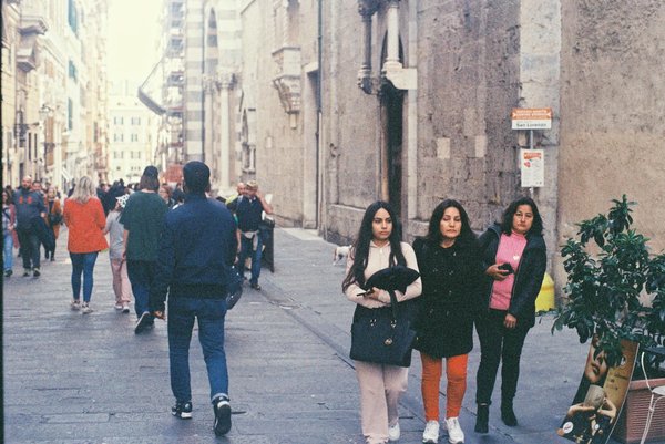 Wie kann man die LebensqualitÃ¤t von Ã¤lteren Haustieren verbessern?